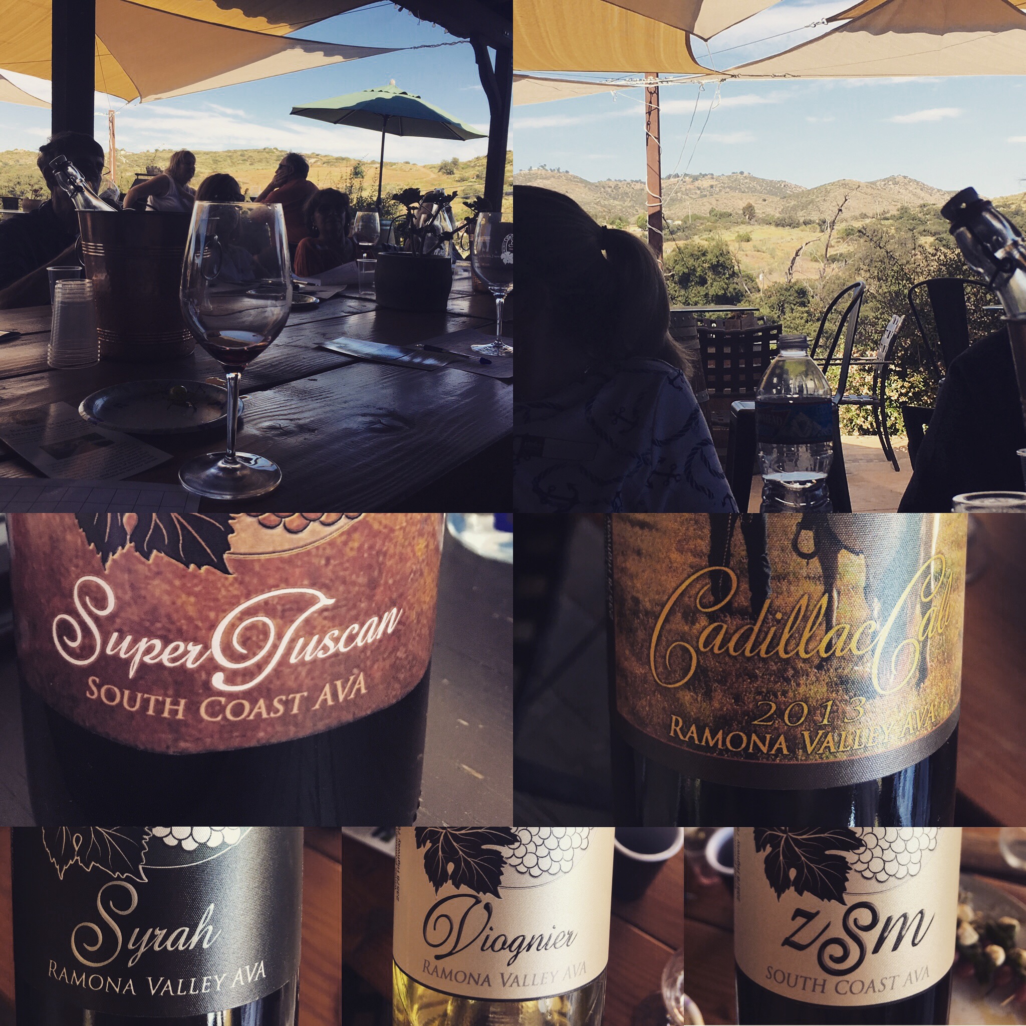Ramona Ranch Winery Visit