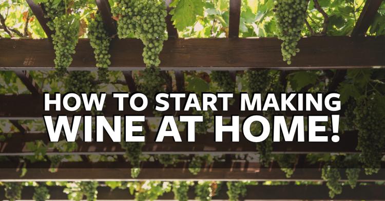 How to Start Making Wine at Home