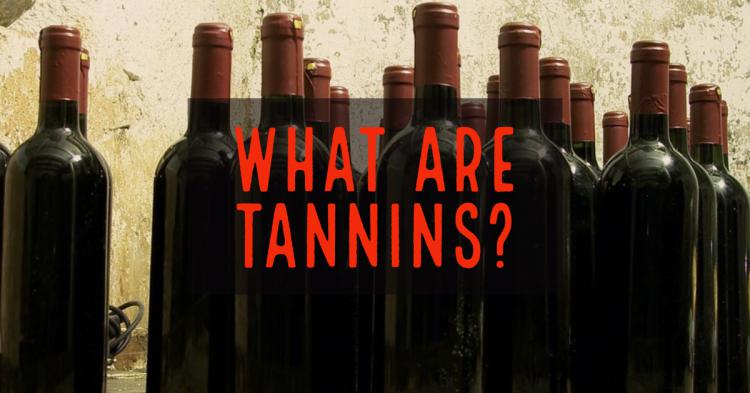 What are Tannins?