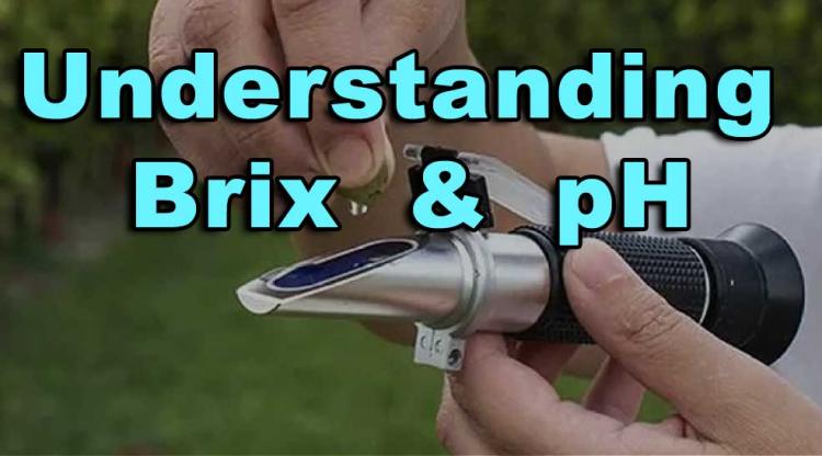 Understanding Brix and pH