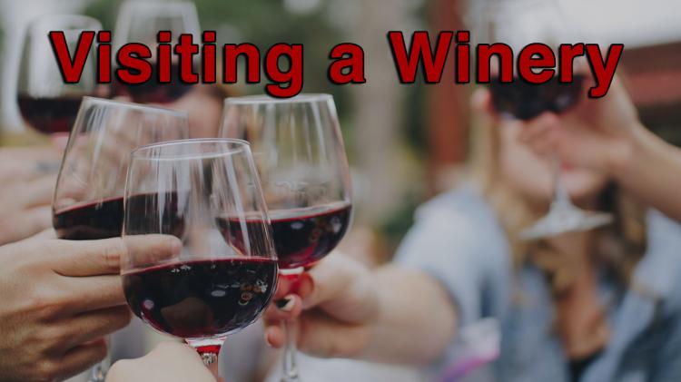 Visiting a Winery
