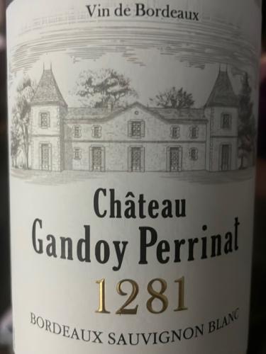 Château Gandoy-Perrinat - Bordeaux Sauvignon - 2019